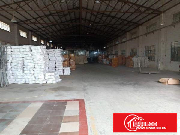 塘厦林村2200平独门独院钢构厂房,滴水8米,原房东价低火爆