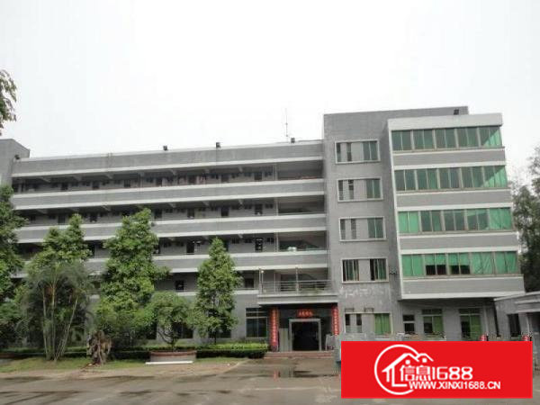 石排新出独院标准厂房3400平米厂房出租