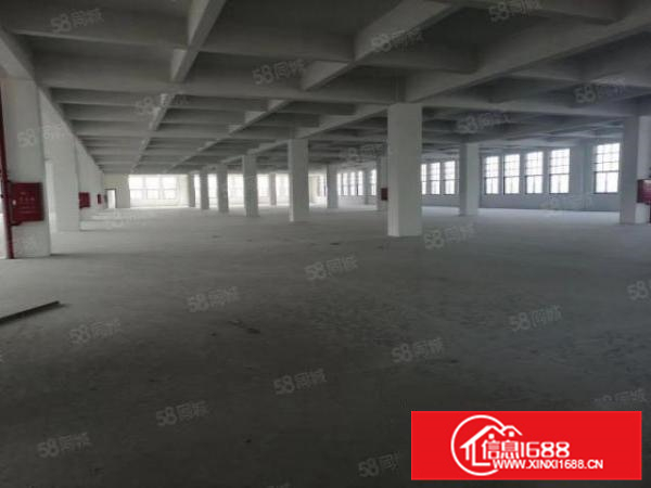 一千方起分租,乐从镇原房东独院独栋标准厂房出租(可办环评)