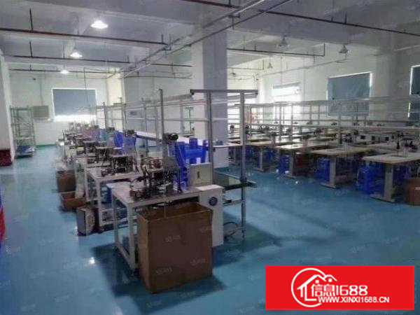 清溪重河1100平精装修水电到位厂房出租