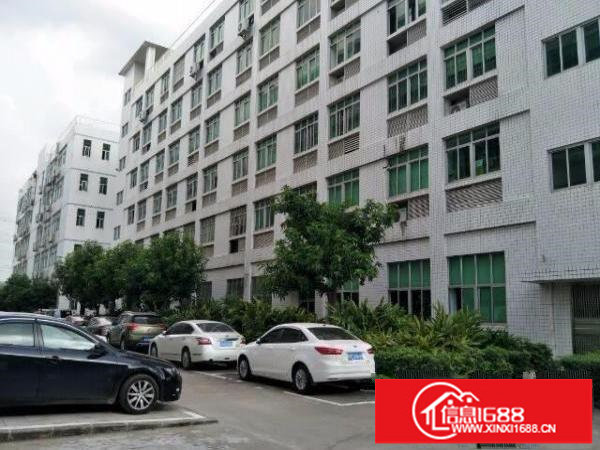 宝安松岗新桥高速口原房东红本厂房30000平空地大