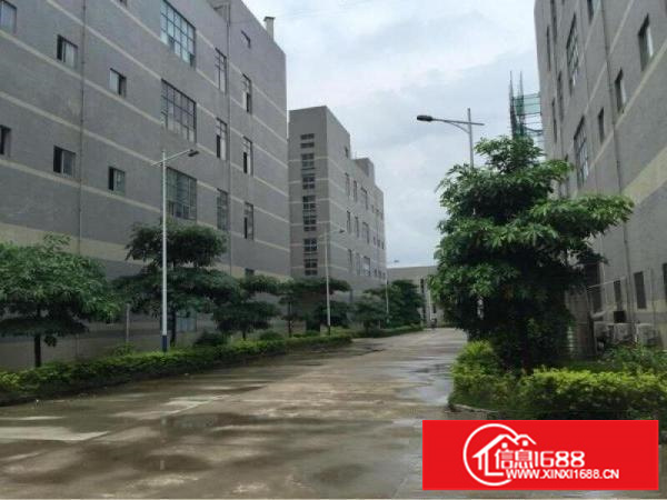 出租龙岗区坪地低碳城高桥社区一楼厂房招租