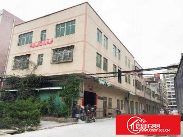 11块钱全包大朗高英原房东独栋三层1500平方厂房抢租