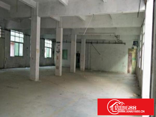 坪山比亚迪附近大型独院550平起租