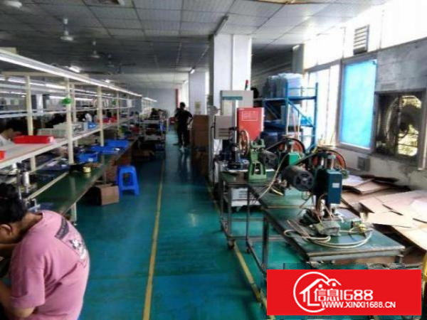 龙岗区深汕路292号银龙物流园870平厂房装修完整出租