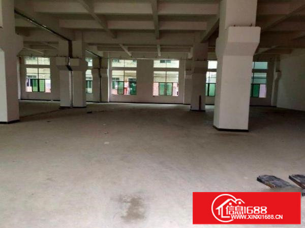 出租横沥月塘原房东厂房一楼1150平方带牛角高度6米