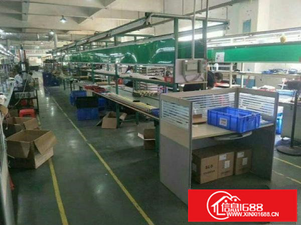 布吉大芬新出二楼300平，带精装修厂房出租