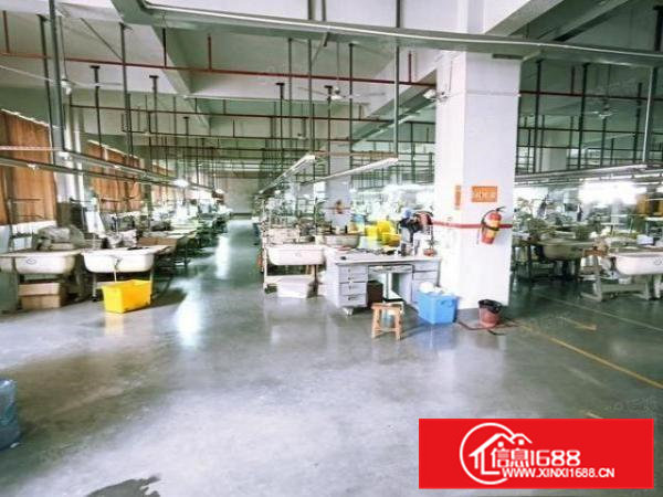 浸校塘楼上2000平方现成装修可分租