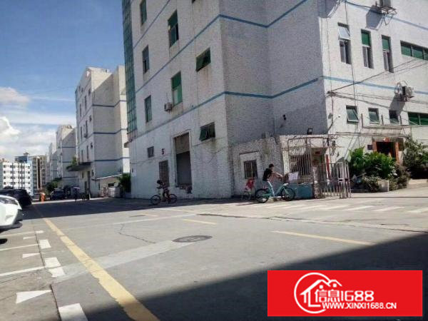 龙华大浪新出独院一栋4层6600平标准厂房可分层租