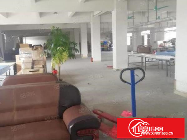 六约金塘大型工业园新出红本厂房一楼整层1900平高度6.5
