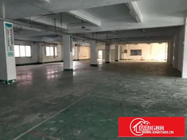 清溪大利新出独院标准厂房二楼带装修1500平米招租，水电齐全