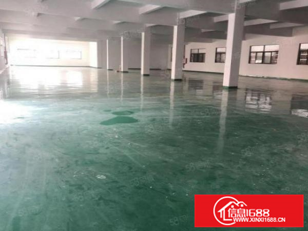 独门独院带办公，容桂工业区800方标准厂房带地坪漆五金环评A