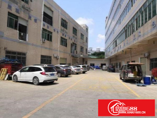 君子布环观南路边上一楼230和420平米