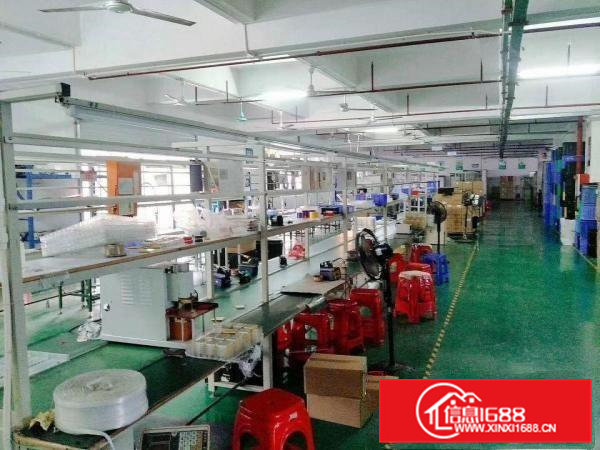 凤岗官井头精装修厂房出租1300平方近龙岗大运城邦