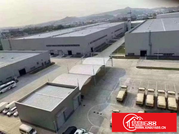 坪山原房东钢构招租，滴水21米，独立红本，合同10年！