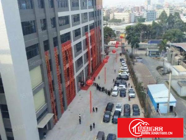 常平原房东出租标准全新一楼厂房2500平方