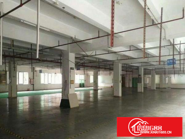 塘沥工业区分租楼上1600平方现成地坪漆豪华装修