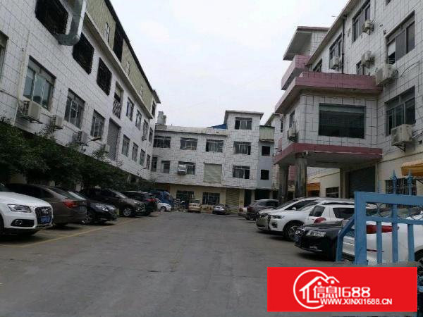 虎门南栅独门独院厂房