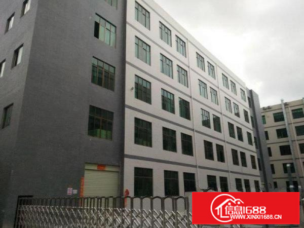 惠阳区镇隆原房东独栋标准厂房面积12000平米出租