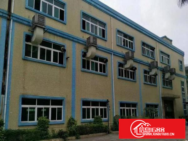 新出独门独院厂房两栋10000平方宿舍2000平方