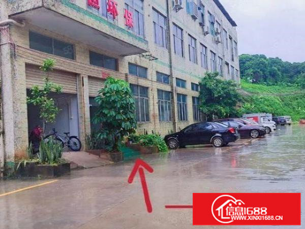 大朗一楼1380平方，二楼1150平方，带现成装修，可分租，