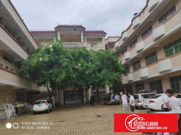 黎村标准三层厂房实际面积