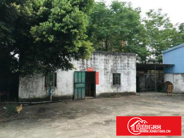 马安新乐独院1楼1500平方钢构厂房出租