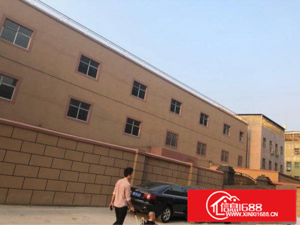 碧岭原房东独院内13元/平米厂房