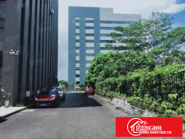 观澜新出750平豪华精装修标准厂房，水电到位拎包入住