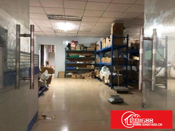 桥头镇新出原房东800.平方标准厂房