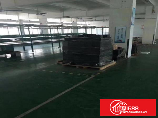 [坪山厂房]坪山石井新出两层独院内1170平米