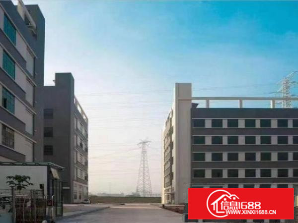 大小可分租，证件齐全