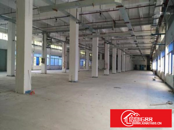 龙岗坪地一楼2000平6米高带红本