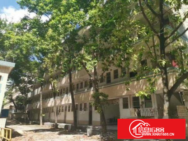 200平起分租观澜库坑独门独院12600平合同6年主线到车间