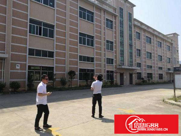 东坑镇工业区一楼标准厂房出租