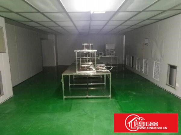 长安新出现成无尘车间1200平方，重工业厂房可放八吨机器上去