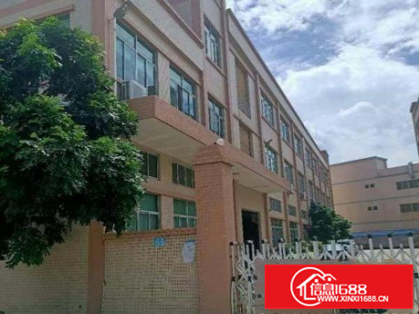 桥头镇带红本独院厂房6663平带装修