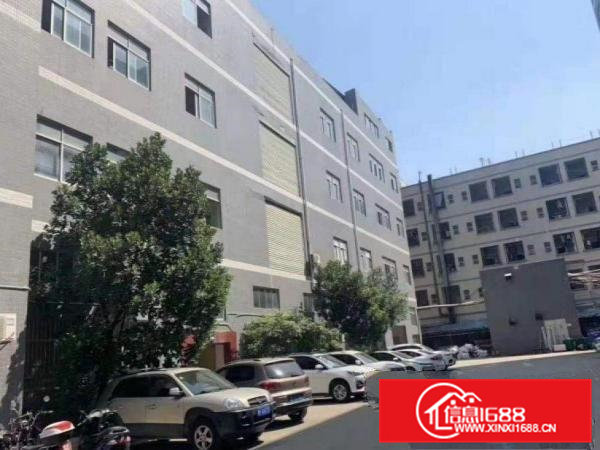 旧村标准一楼厂房460平出租，干净整洁水电到位