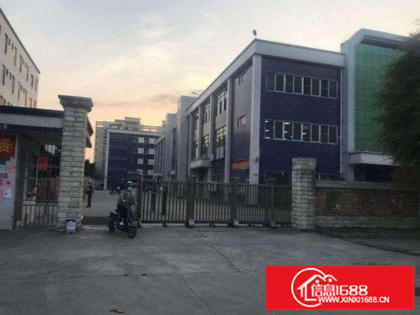 田心楼上1300平米带豪华精装修厂房出租