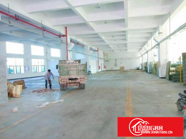 井美168工业区厂房出租1300㎡