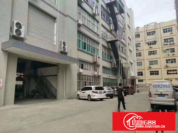 雁田海关标准厂房8米带牛腿大主线办公室1200平米业主直接租