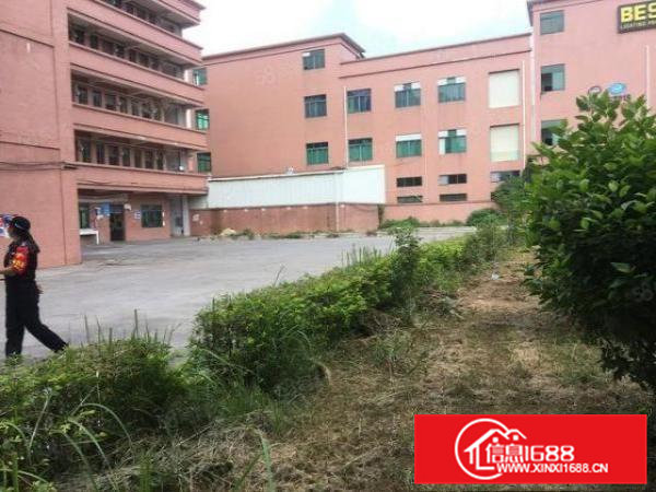 黄江北岸一楼780平米精装修出租，