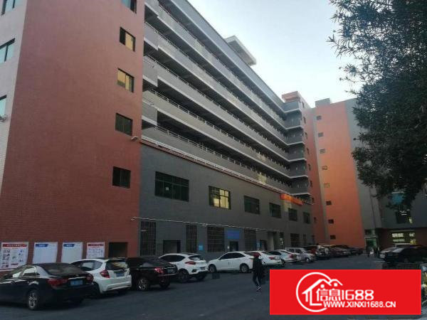 原房东，豪华精装修。无需转让费，园区形象大气。