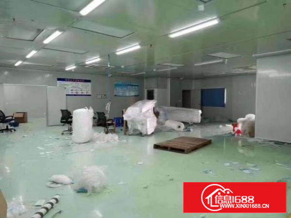 沙井共和工业区1320平线路板电路厂房出租