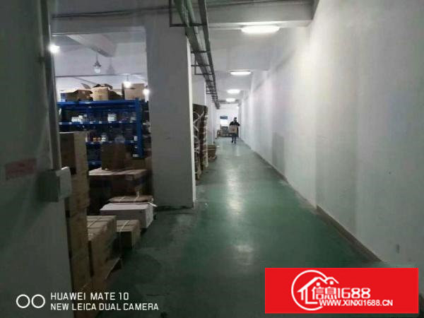 横岗大康原房东红本厂房1600平，无公摊，无公摊，无公摊！