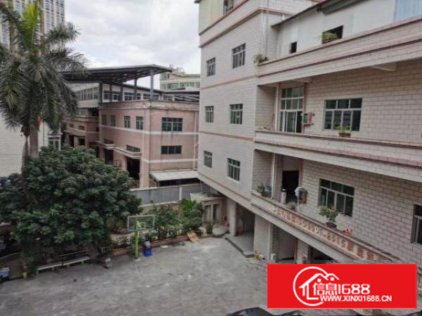 万江街道石美路段厂房