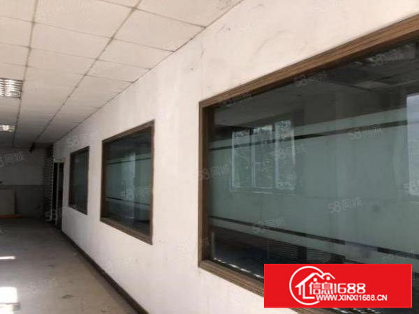 塘厦莲湖独门独院厂房