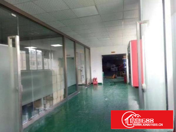 西乡九围簕竹角鹤洲红本厂房1390平米整层招租