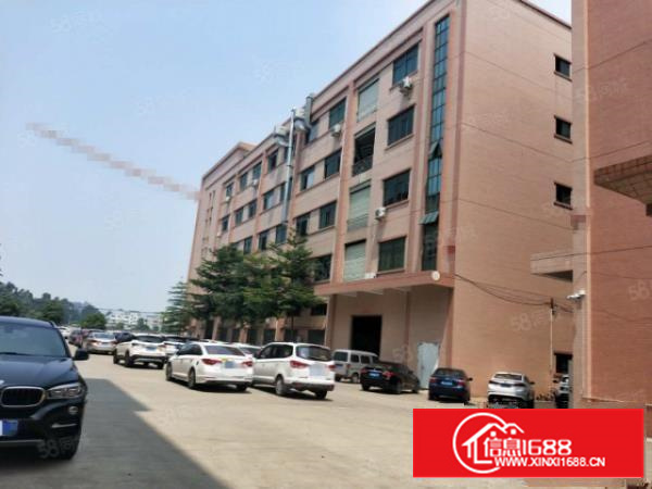 石排标准一楼580方出租，租20元，水电齐全，园区规划整洁