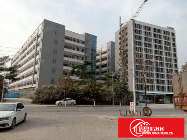 寮步镇原房东新建独门独院厂房总面积90000平米招租带红本